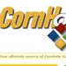 Cornhole Links